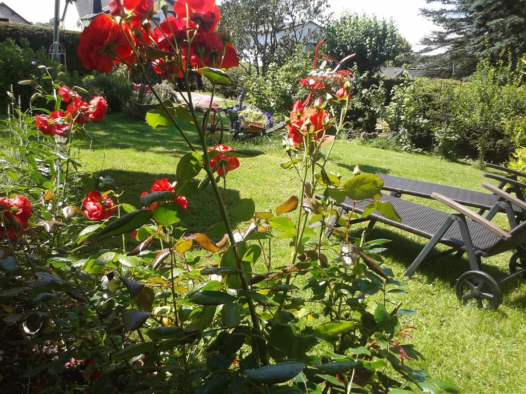 Fewo Sonnenblume Daun Exterior foto